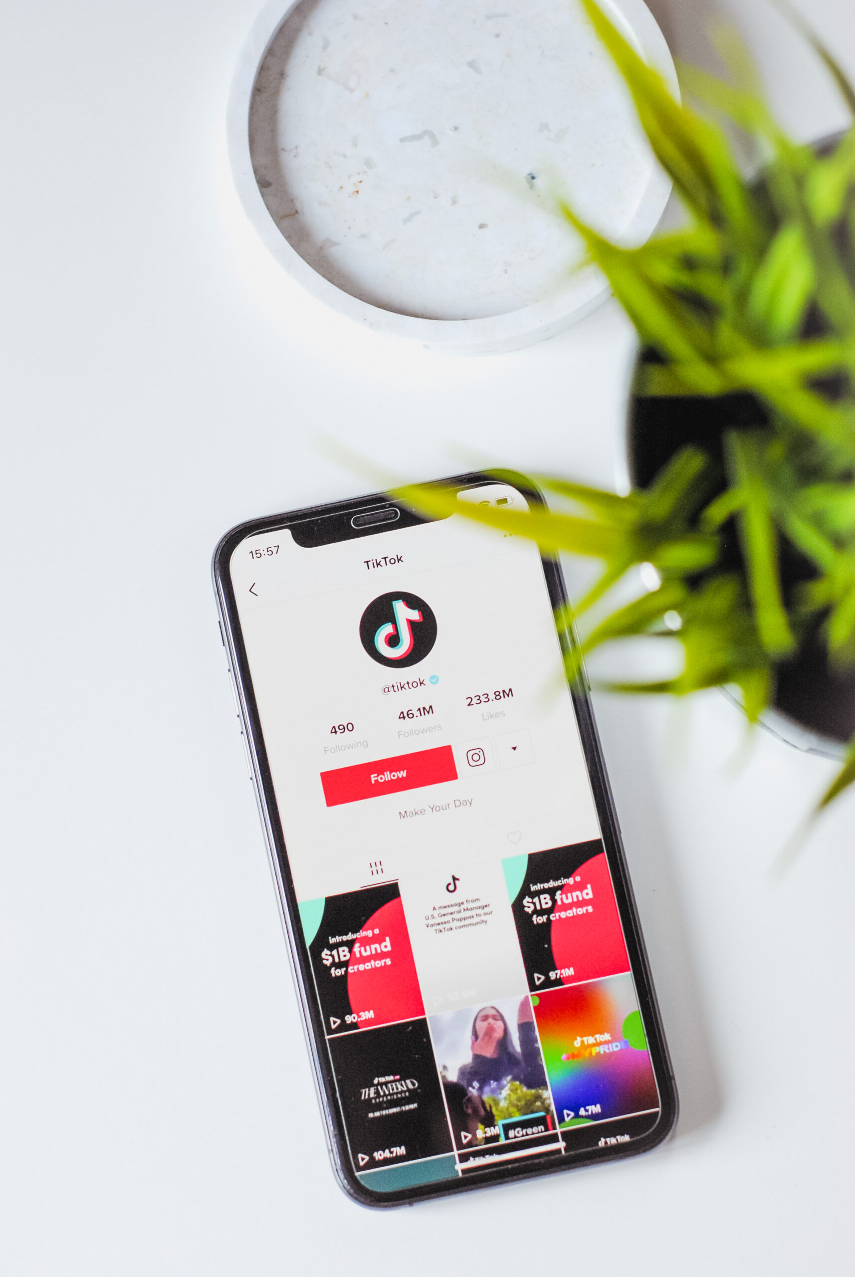 Business Value of TikTok